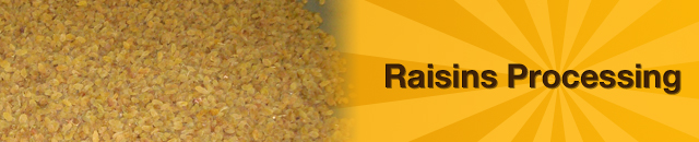 raisins-processing