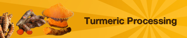 turmeric-processing