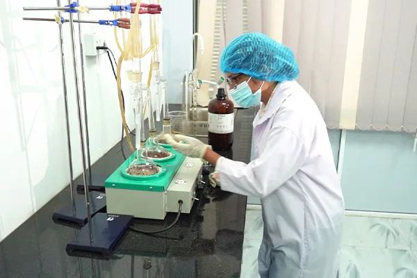 On-site laboratory technician testing turmeric samples for curcumin and quality parameters